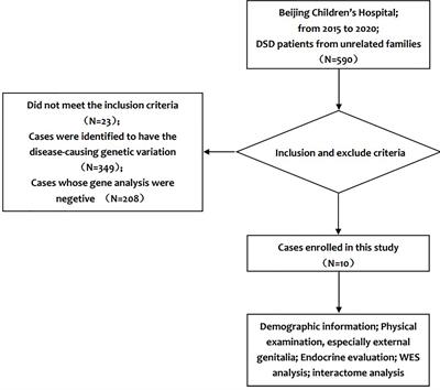 Disorders of Sex Development in Individuals Harbouring MAMLD1 Variants: WES and Interactome Evidence of Oligogenic Inheritance